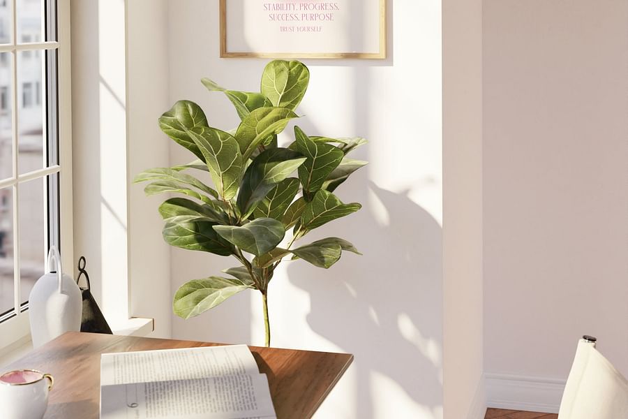 angel number 555 home decor